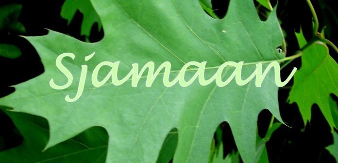 Sjamaan en sjamanisme